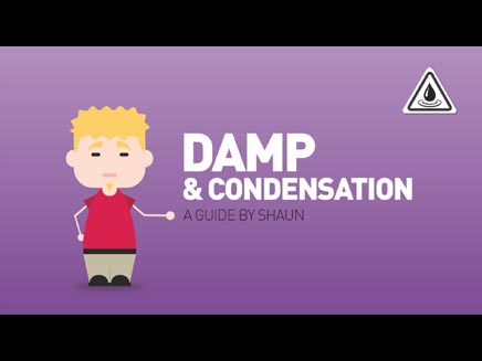 damp_ph